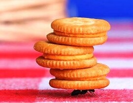 Meritocracy, not democracy